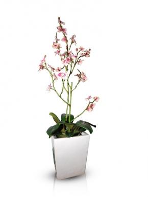 Orchidea rosa artificiale